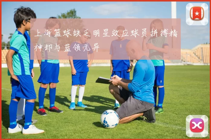 上海篮球缺乏明星效应球员拼搏精神却与蓝领无异