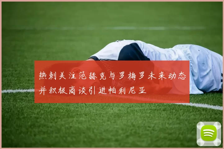 热刺关注范赫克与罗梅罗未来动态并积极商谈引进帕利尼亚