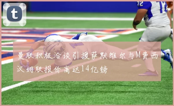 曼联积极洽谈引援萨默维尔与M费西汉姆联报价高达14亿镑