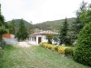 home1.jpg