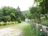 img_1583.jpg