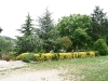 img_1584.jpg
