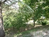 img_2170.jpg