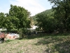 img_2175.jpg