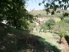 img_2206.jpg