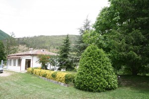 giardino